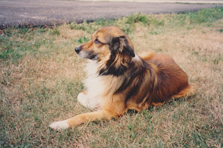 Kelsey (1984 – 1997) Kelsey (1984 – 1997)