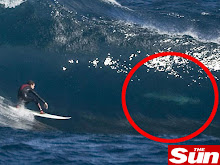 Perigo do surf em alguns lugares
