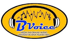 bvoice radio