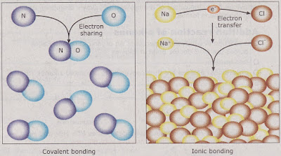 Science Form 4