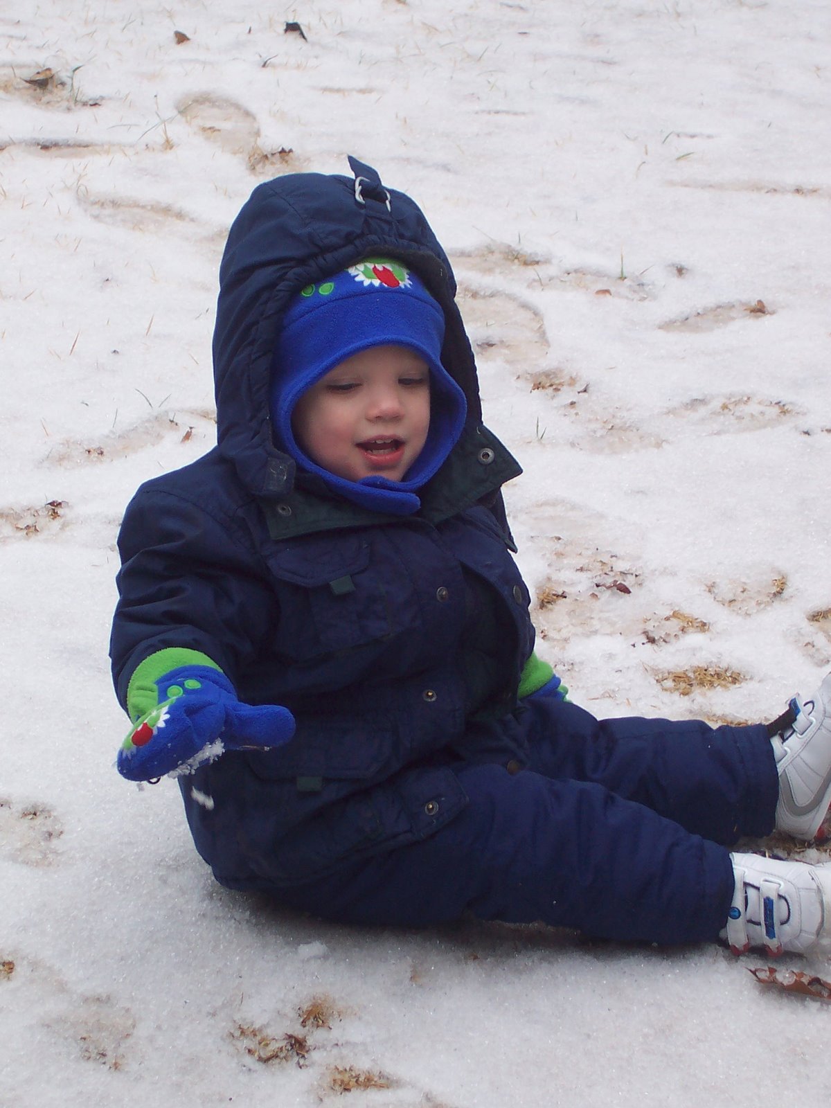 [20080117-1650.JPG]
