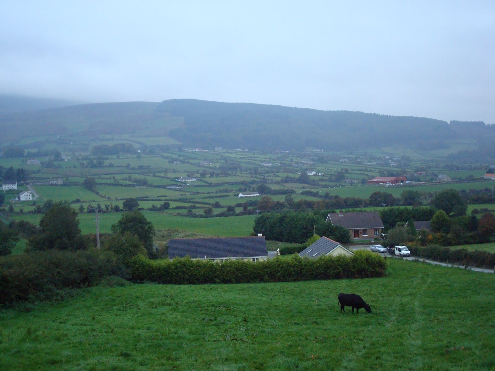 Building BridgesThe Trip to Ireland A Visit to South Armagh Farming