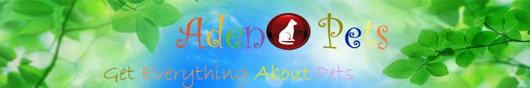 Adeno Pets