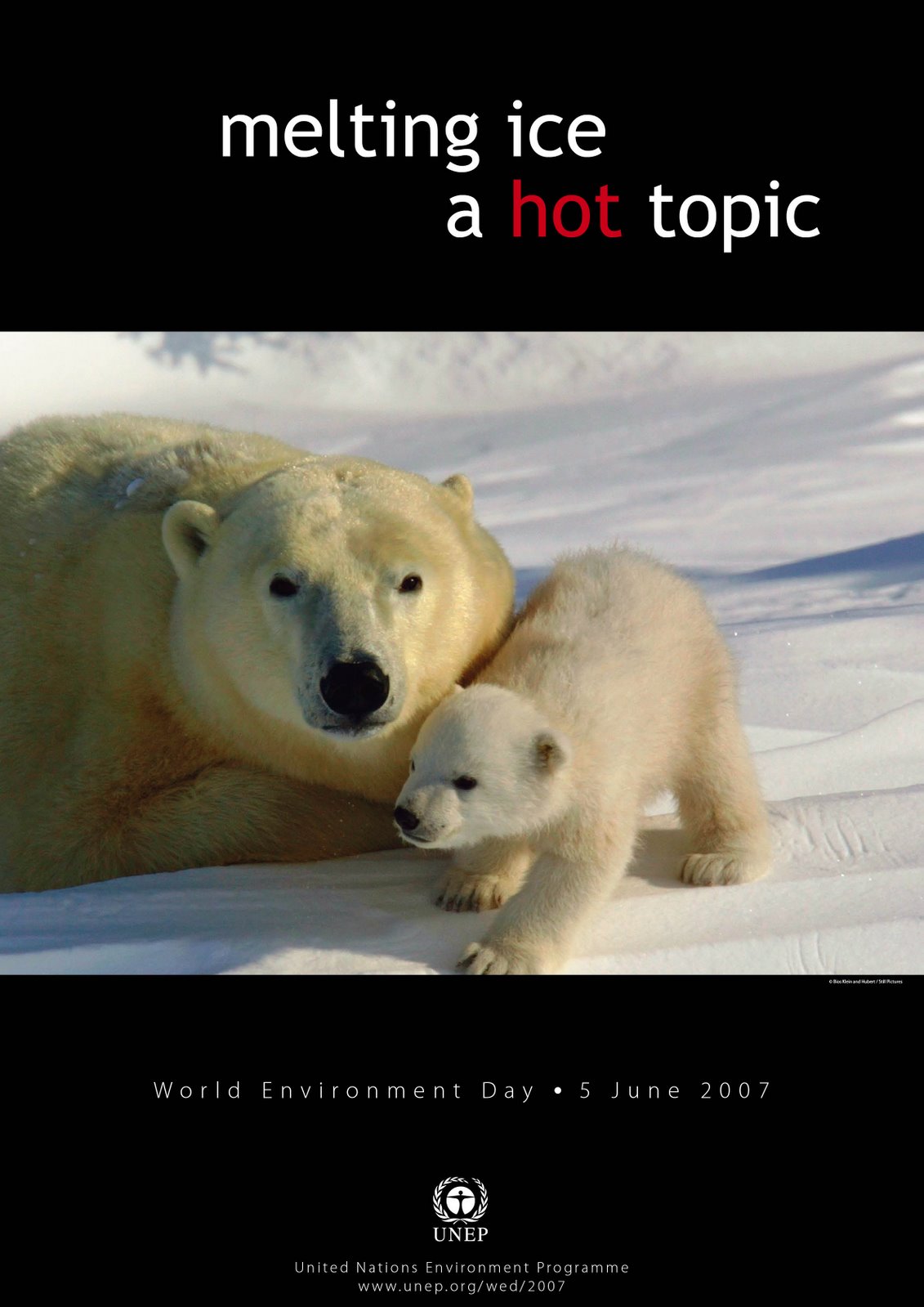 [Poster3_eng_5+junho07.JPG]