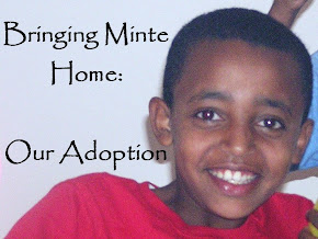 Our Adoption Journey