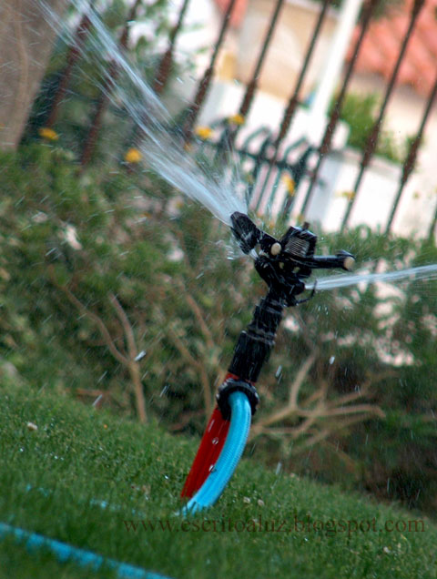 [HPIM0101.JPG]