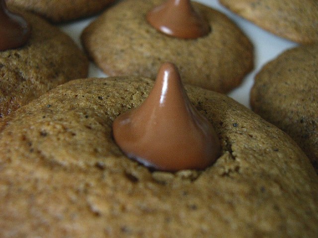 [eggplant_blossom+det.JPG]