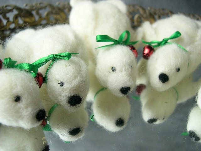 [seals+2.JPG]