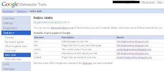 Google Webmaster Tools Index Stats Page