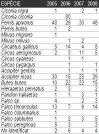 Pernis anys anteriors