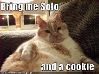 Cat Wars