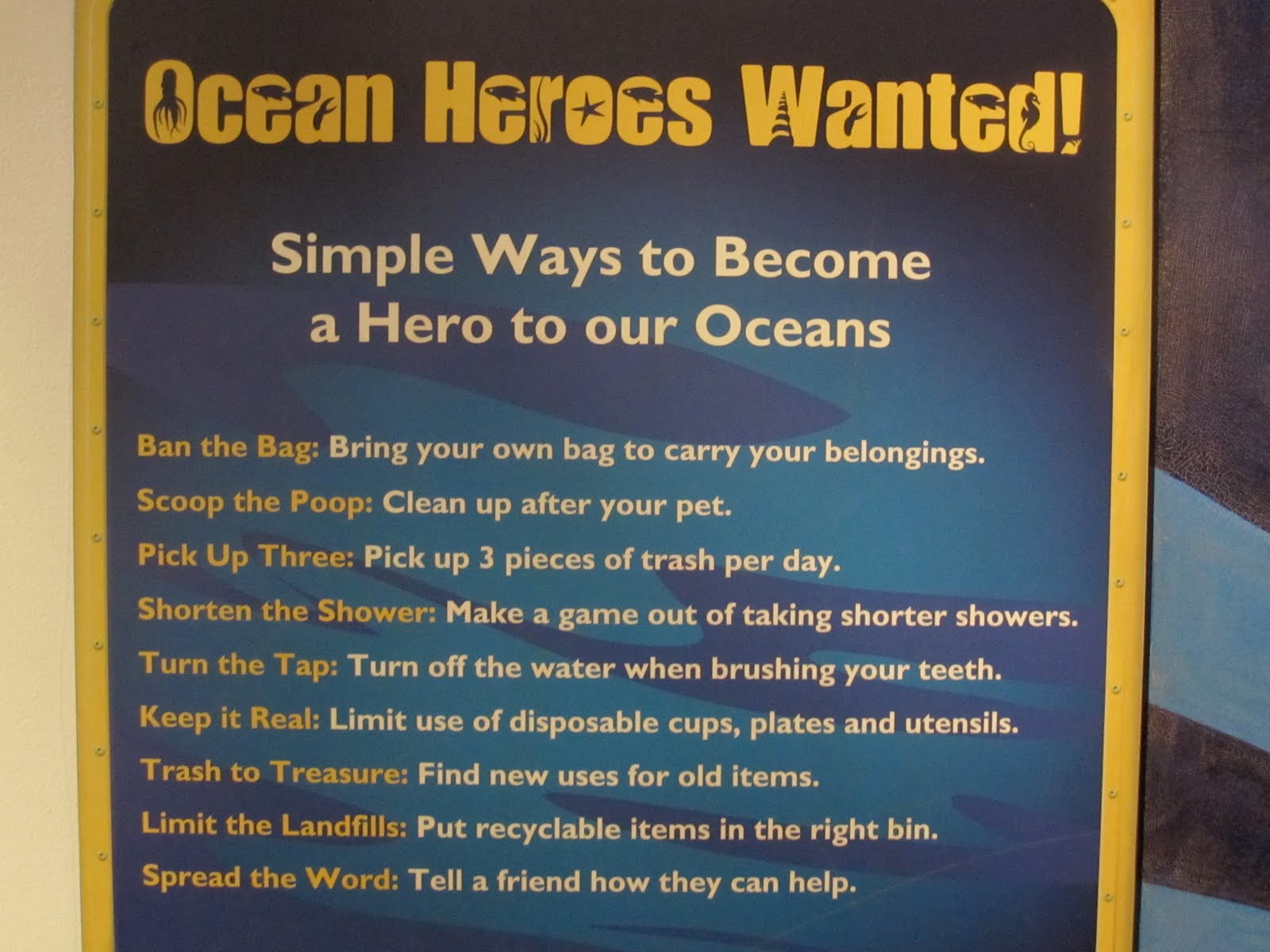 [Sea-Life-Conserve.JPG]