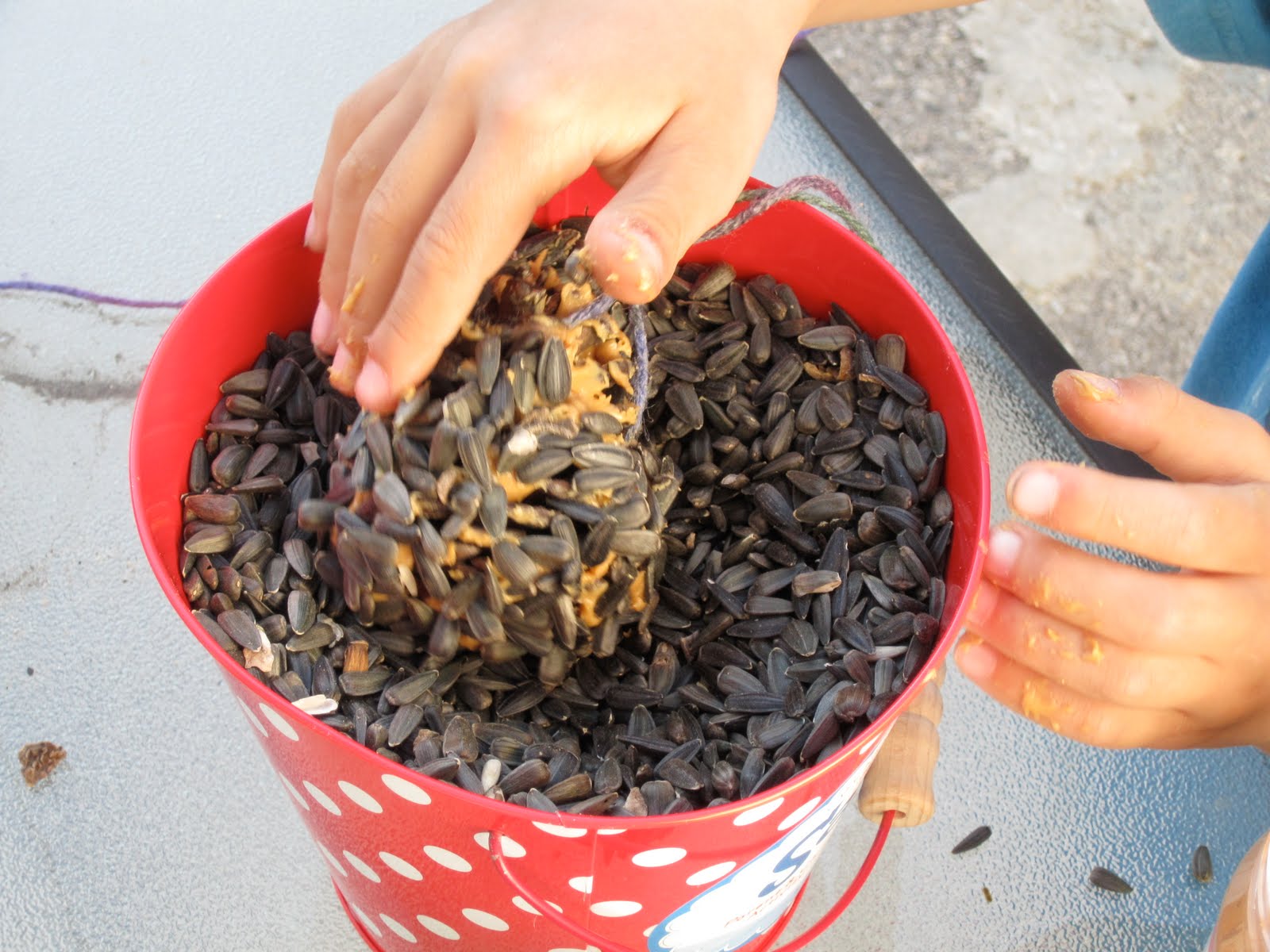 [Fun-Friday-Birdseed.JPG]