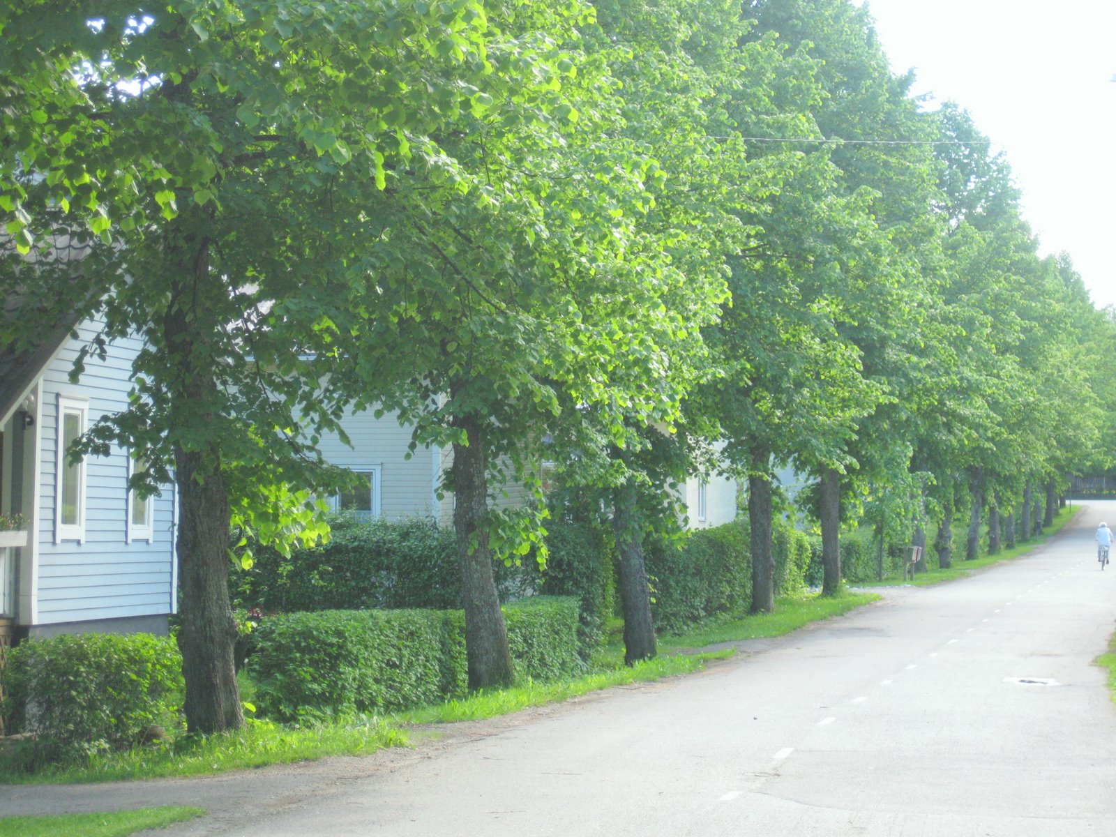 [IMG_2945.JPG]