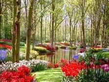 Trechos do livro LEMBRANÇAS DE UMA ADOLESCENTE!