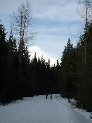 Trillium Lake Snowshoe Trail Head