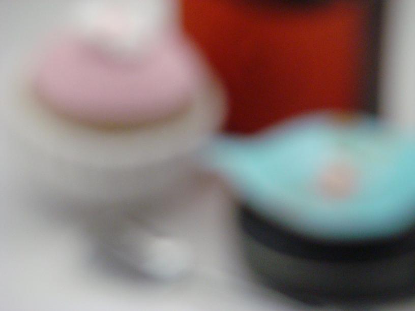 [DSC03865.JPG]