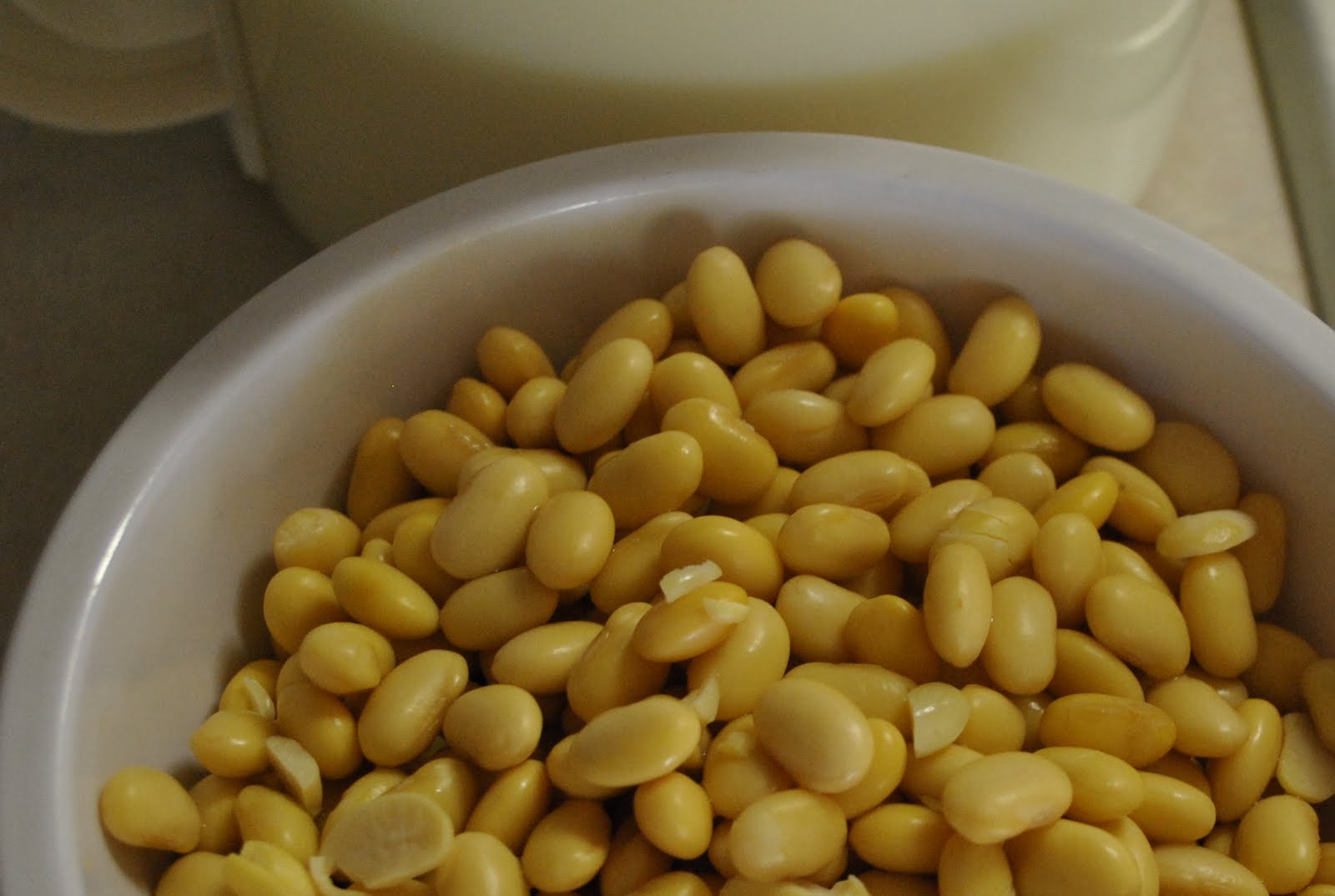 Lulu Can Cook Homemade Soya Bean Milk