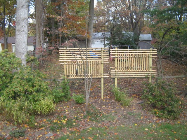 Writings. DJones.: Backyard Bamboo Project