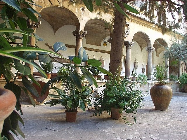 [palma3.jpg]