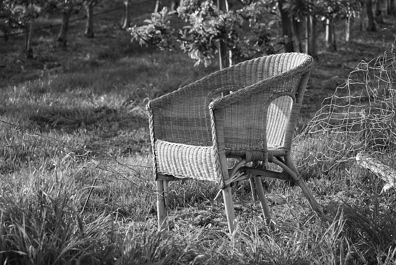 [chair7.jpg]