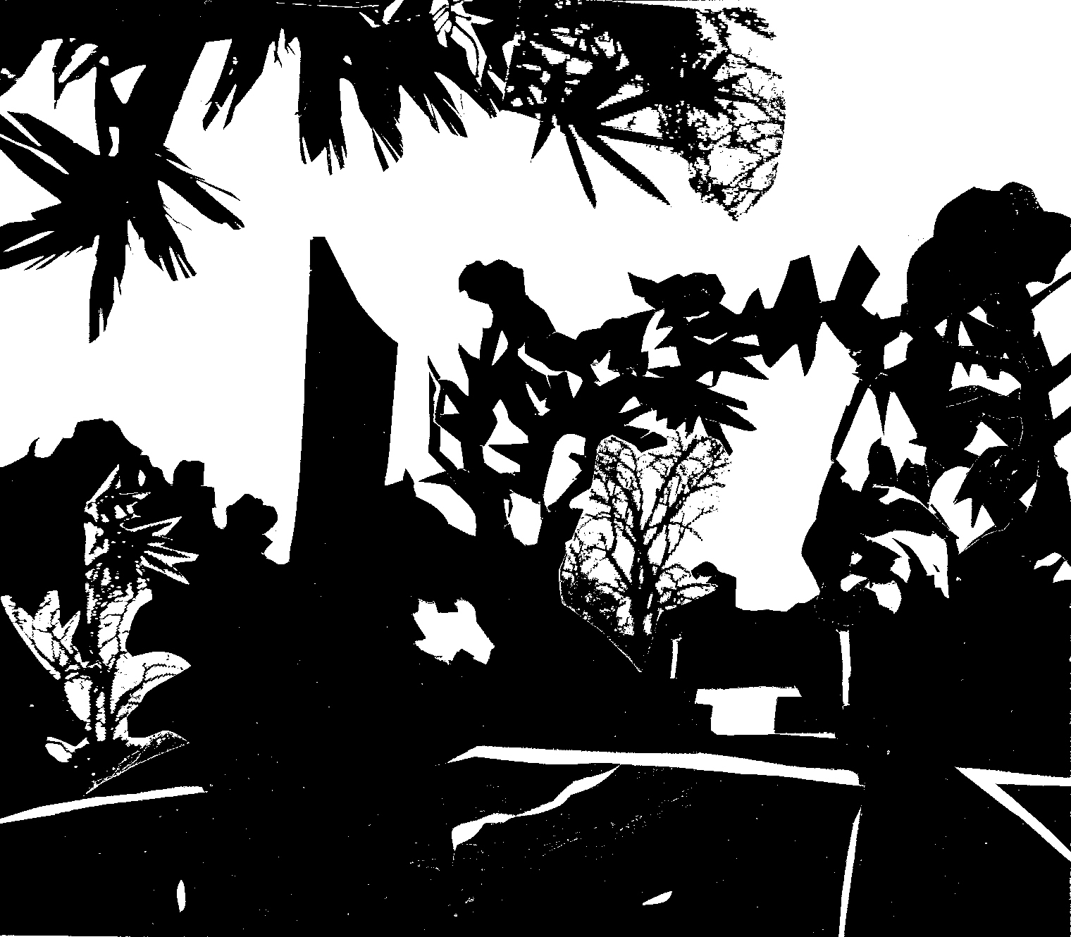 The silhouettes essay image