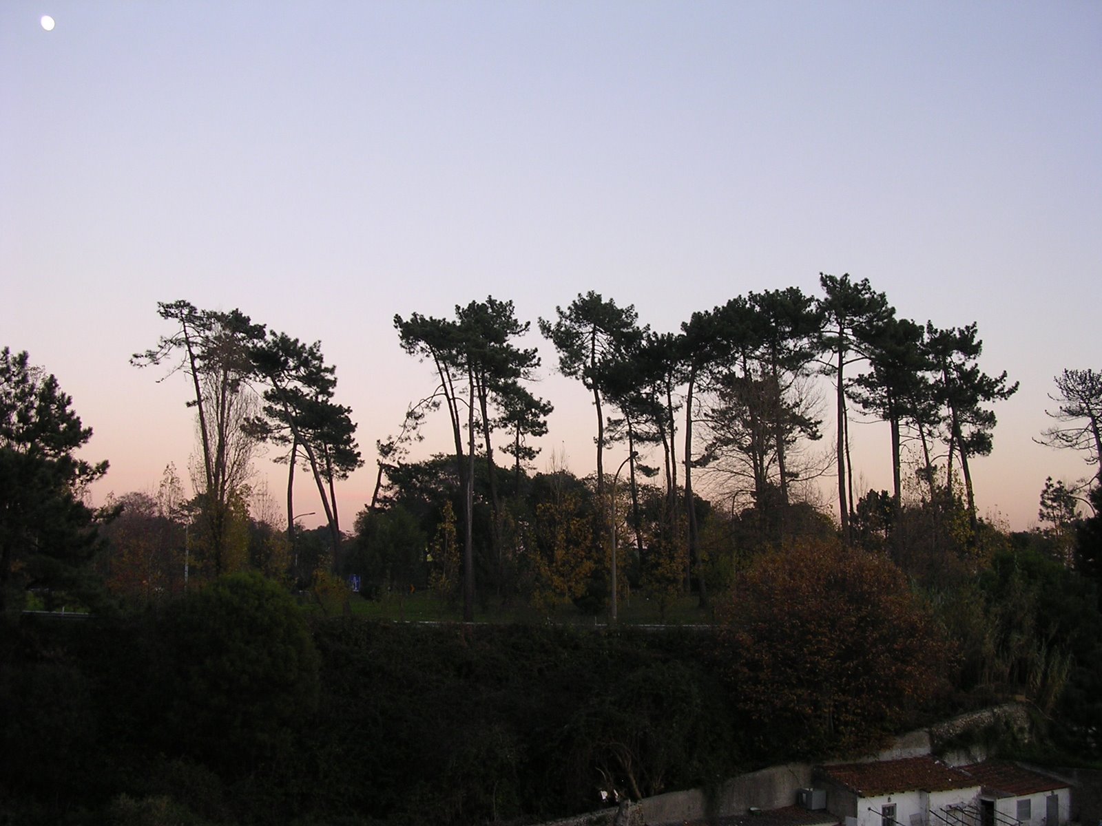[DSCN5582.JPG]