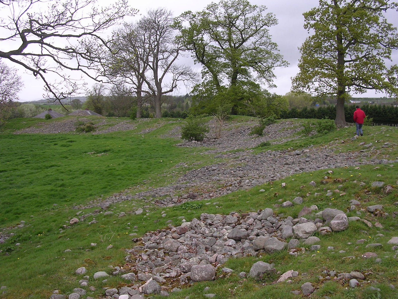 [DSCN6790.JPG]