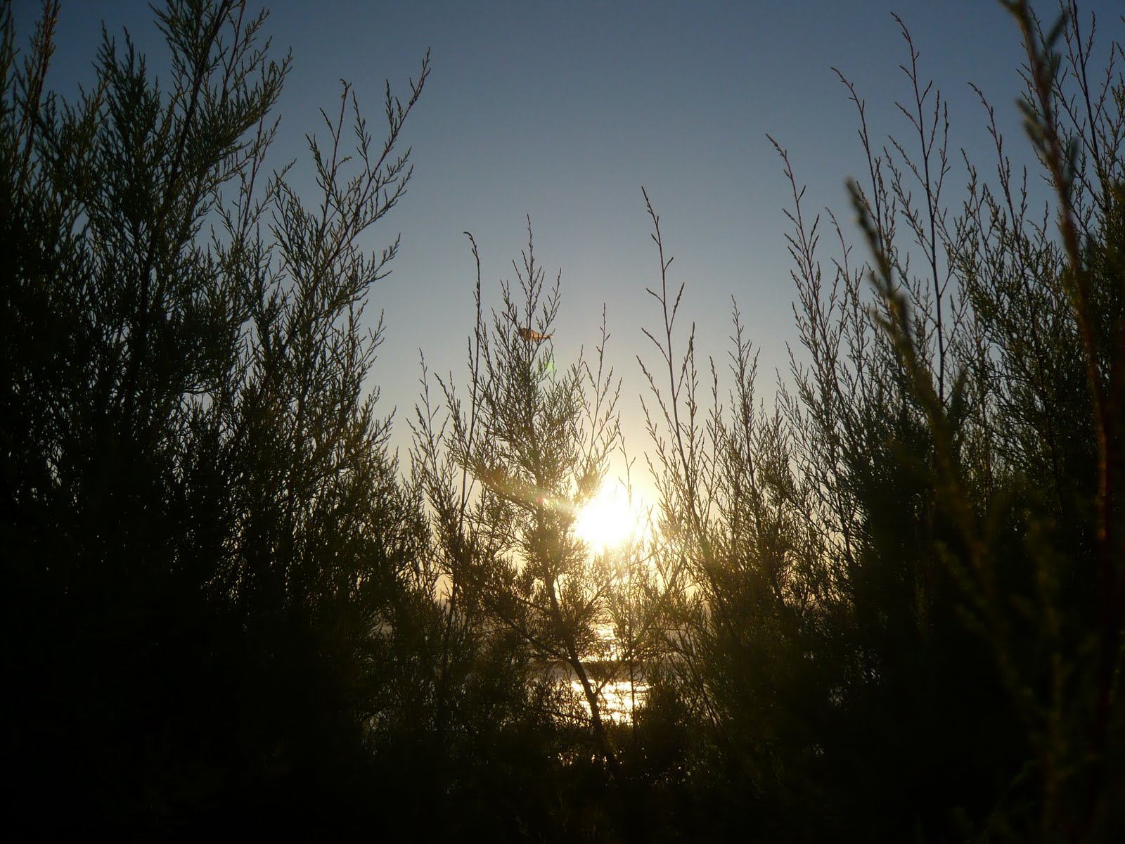 [L1020049.JPG]