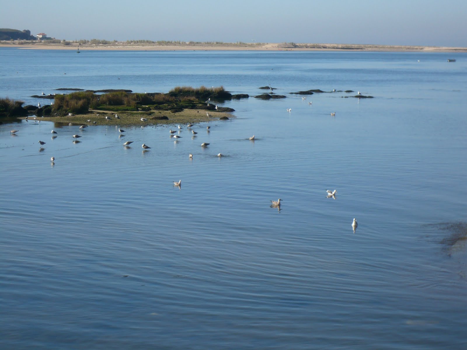 [L1020647.JPG]