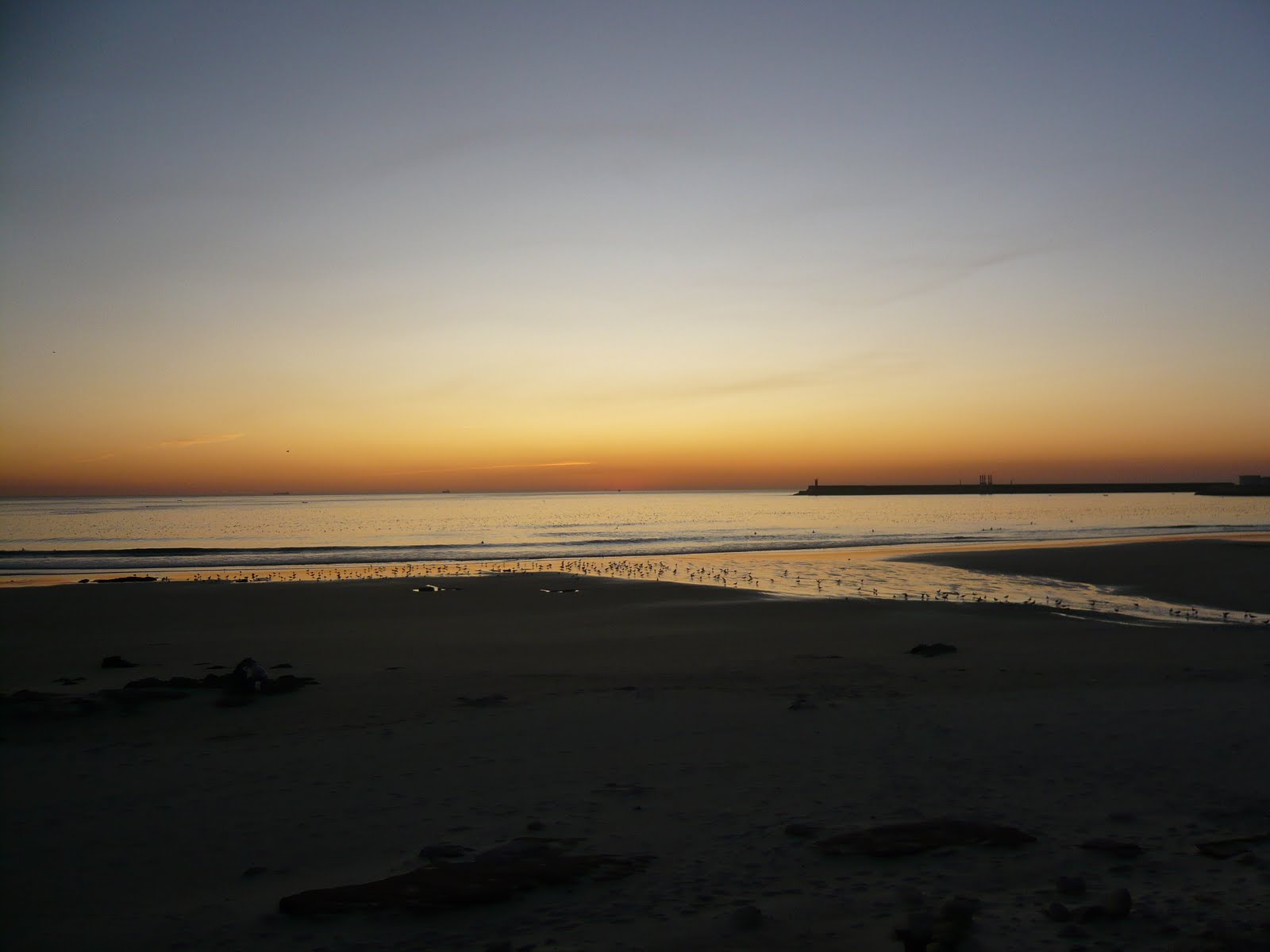 [L1020686.JPG]