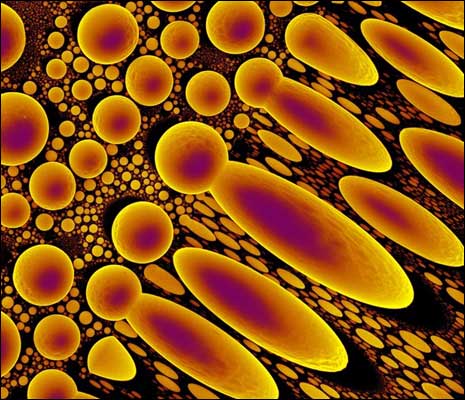 [216029_286_paul_gunning_microcosmos.jpg]