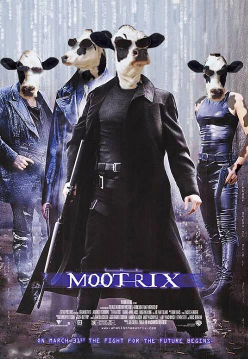 [movie-mootrix.jpg]