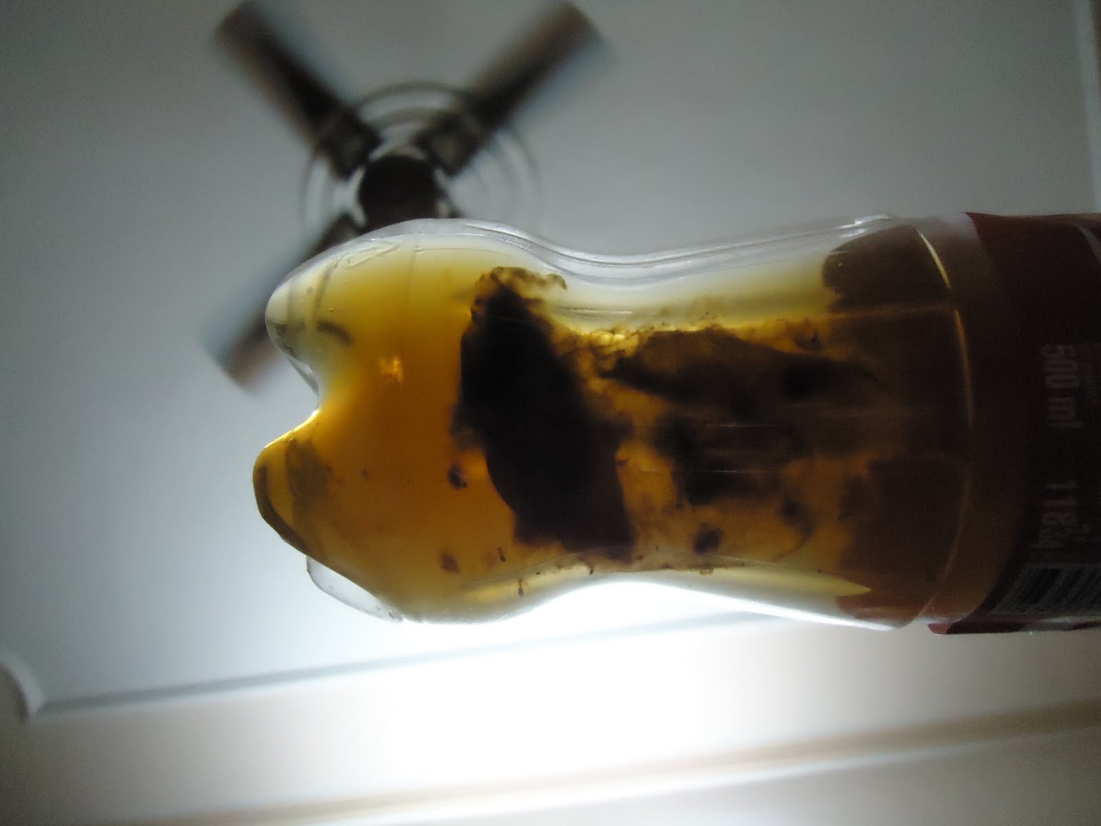 Found DEAD RAT in Coke DEAD RAT inside Coke bottle ordered from Phase