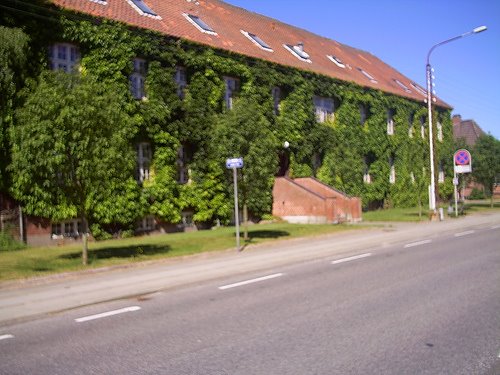 [327076976_d6e1000376.jpg]