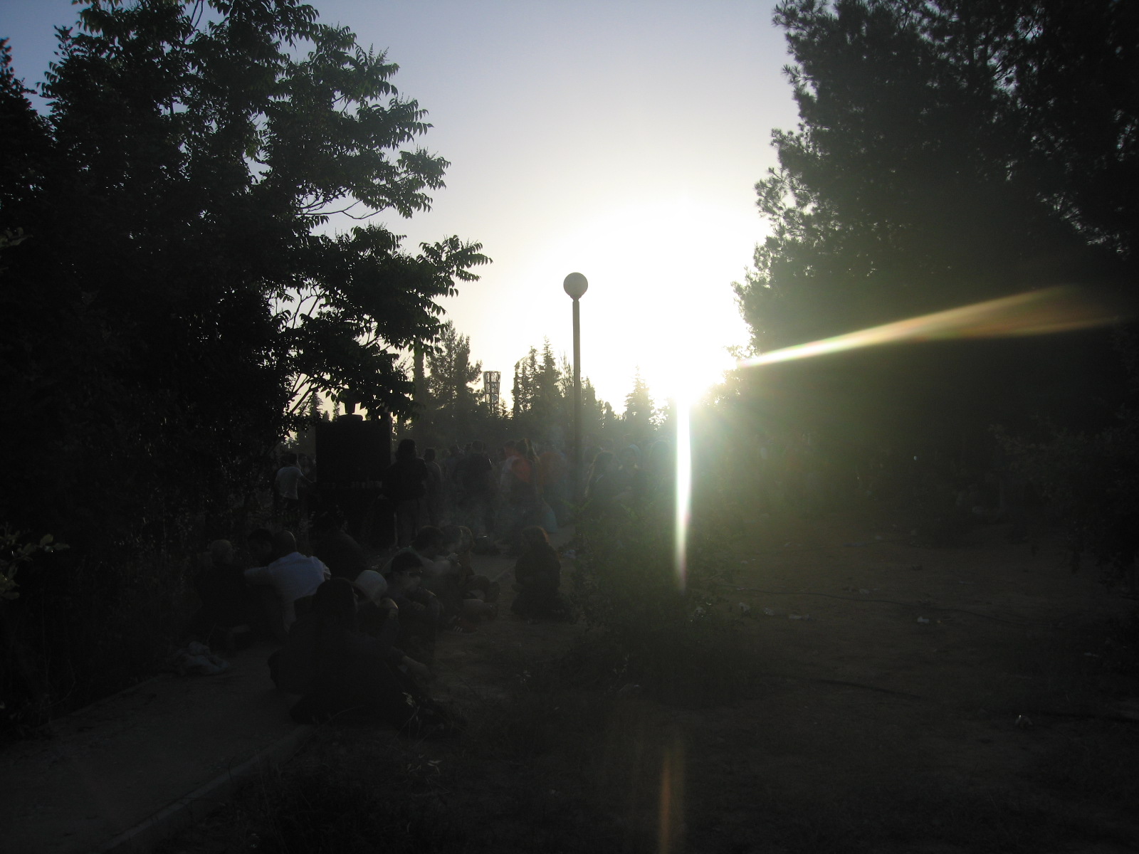 [IMG_7113.JPG]