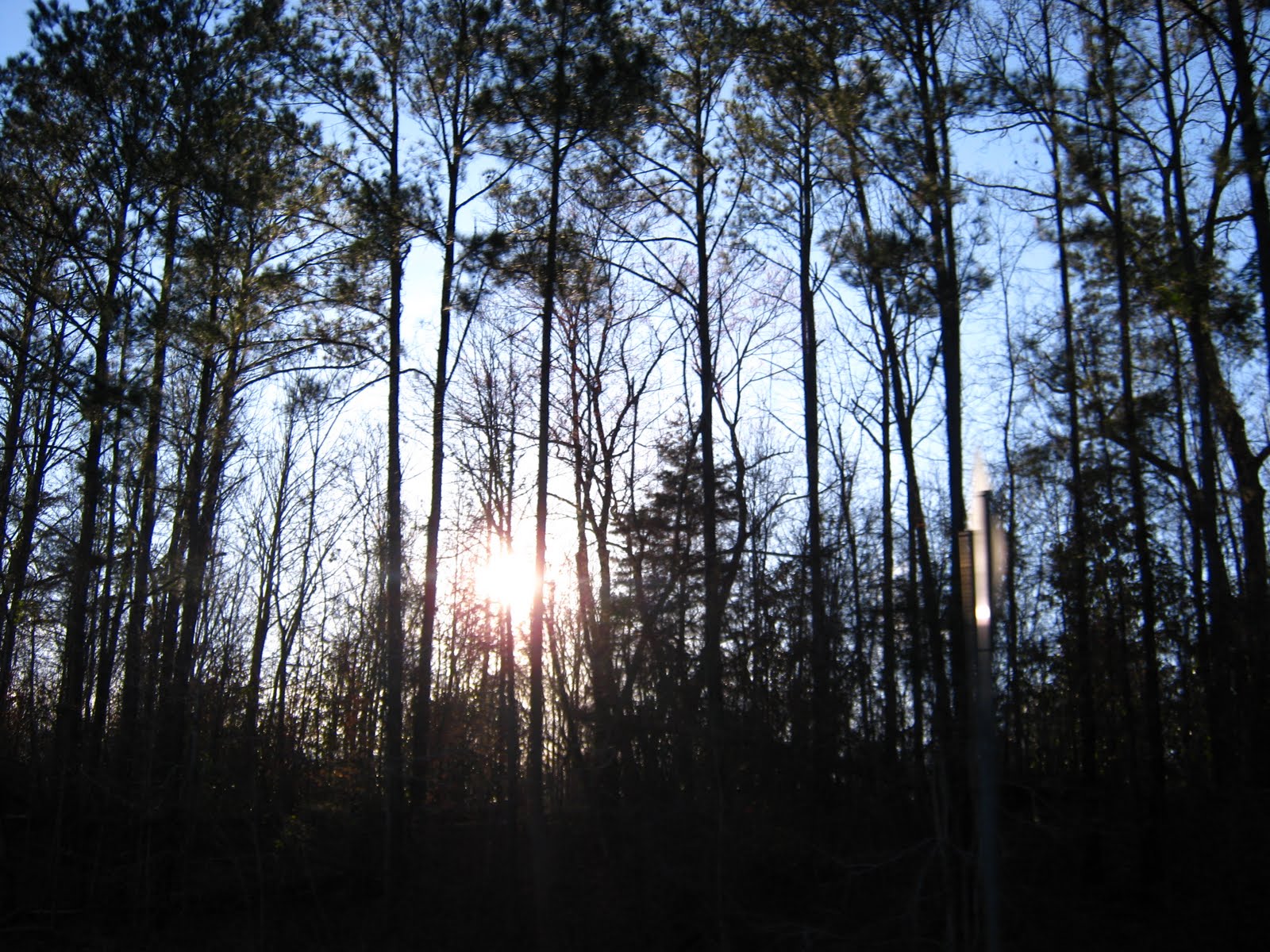 [IMG_0755.JPG]