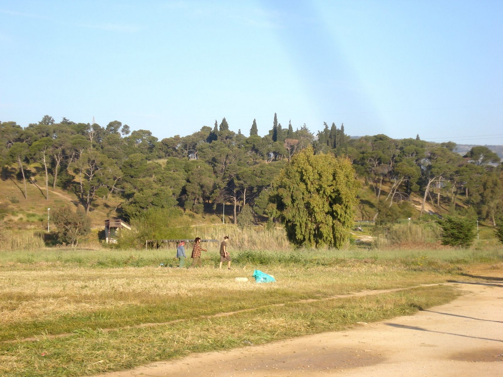 [DSC02398.JPG]