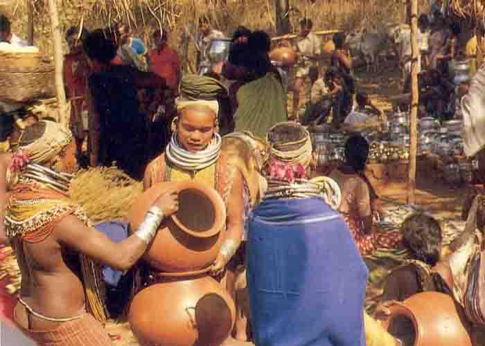 [TRIBAL15.jpg]