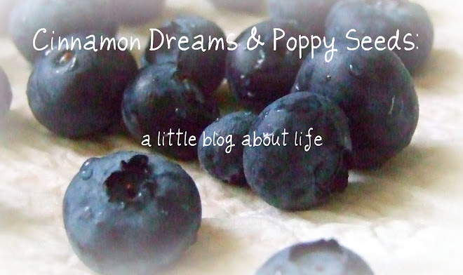 Cinnamon Dreams and Poppy Seeds