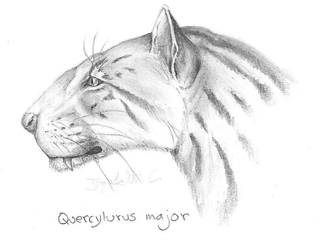 Quercylurus major drawn by Dinofeliz C (me)