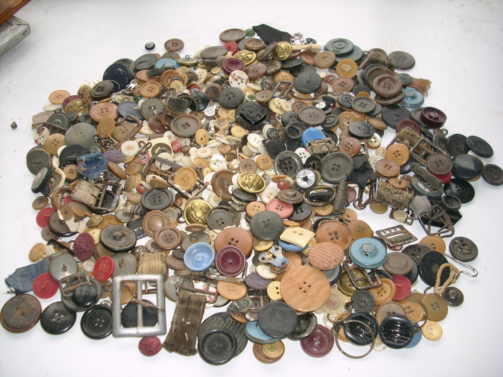 [DSCI0090.JPG]