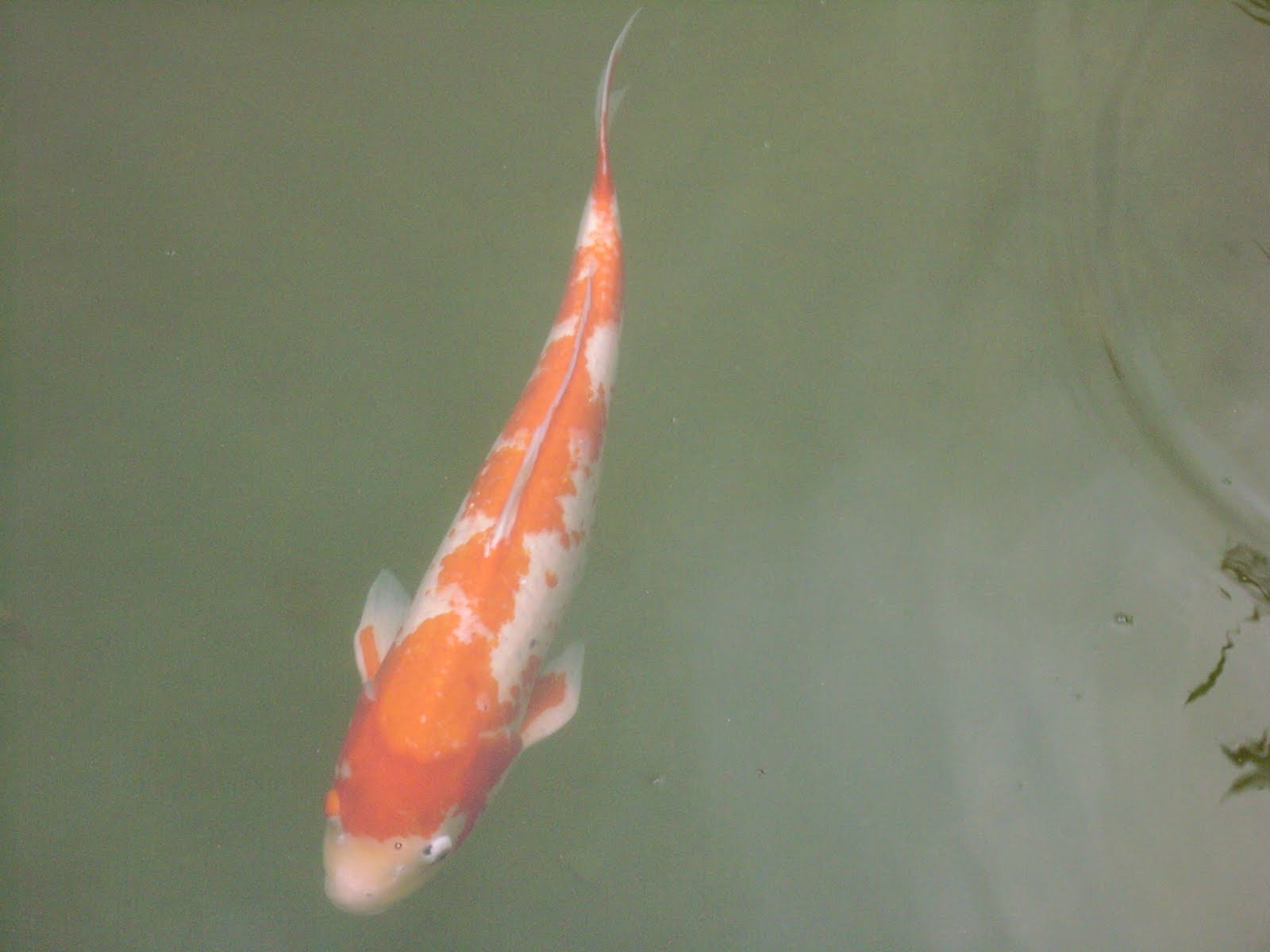 [DSCI0202.JPG]