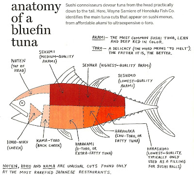 How To Cut Bluefin Tuna Karen Lynn Charters Gloucester, MA