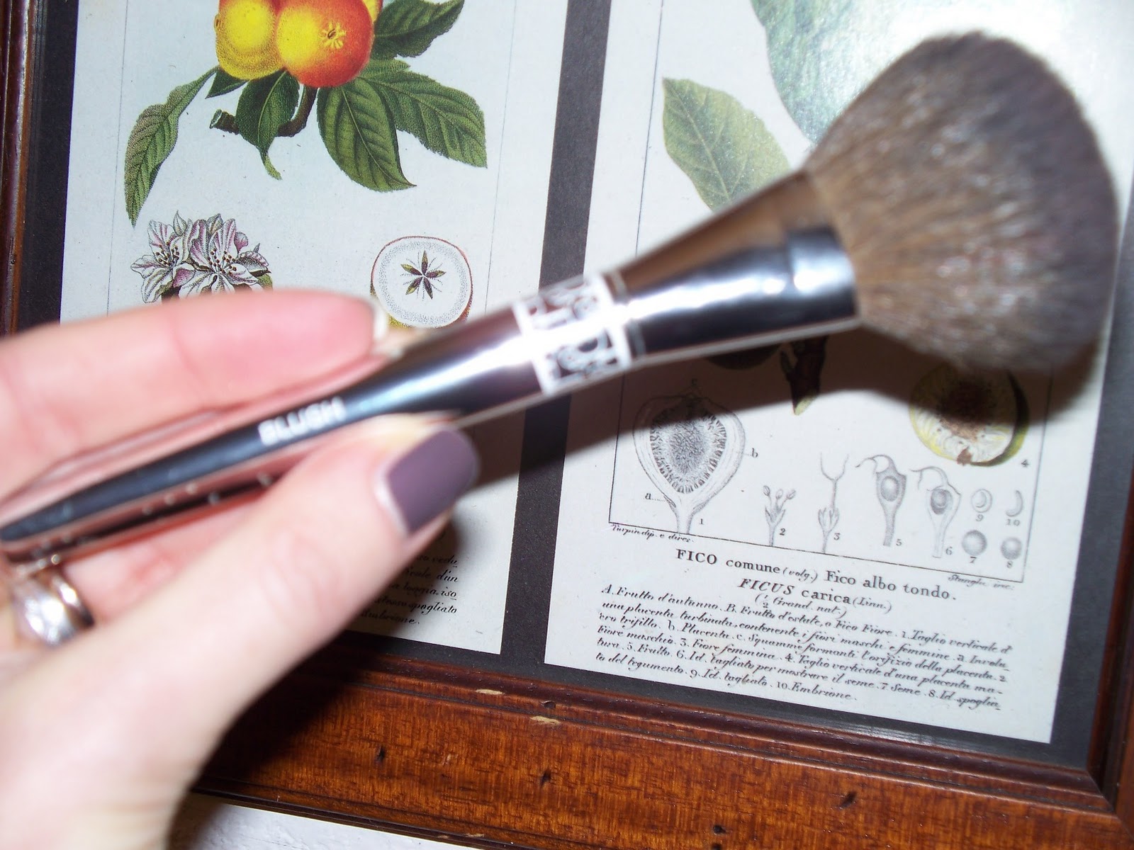 Sonia Verardo Review Dior Backstage Make Up Brush Kit