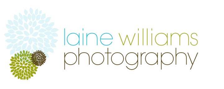Laine Williams Photography