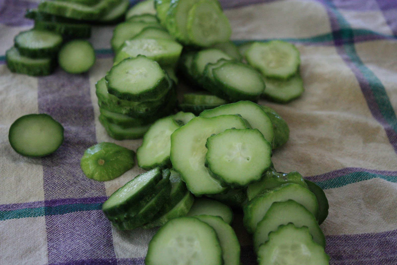 Suburban Homemade Pickled Gherkins