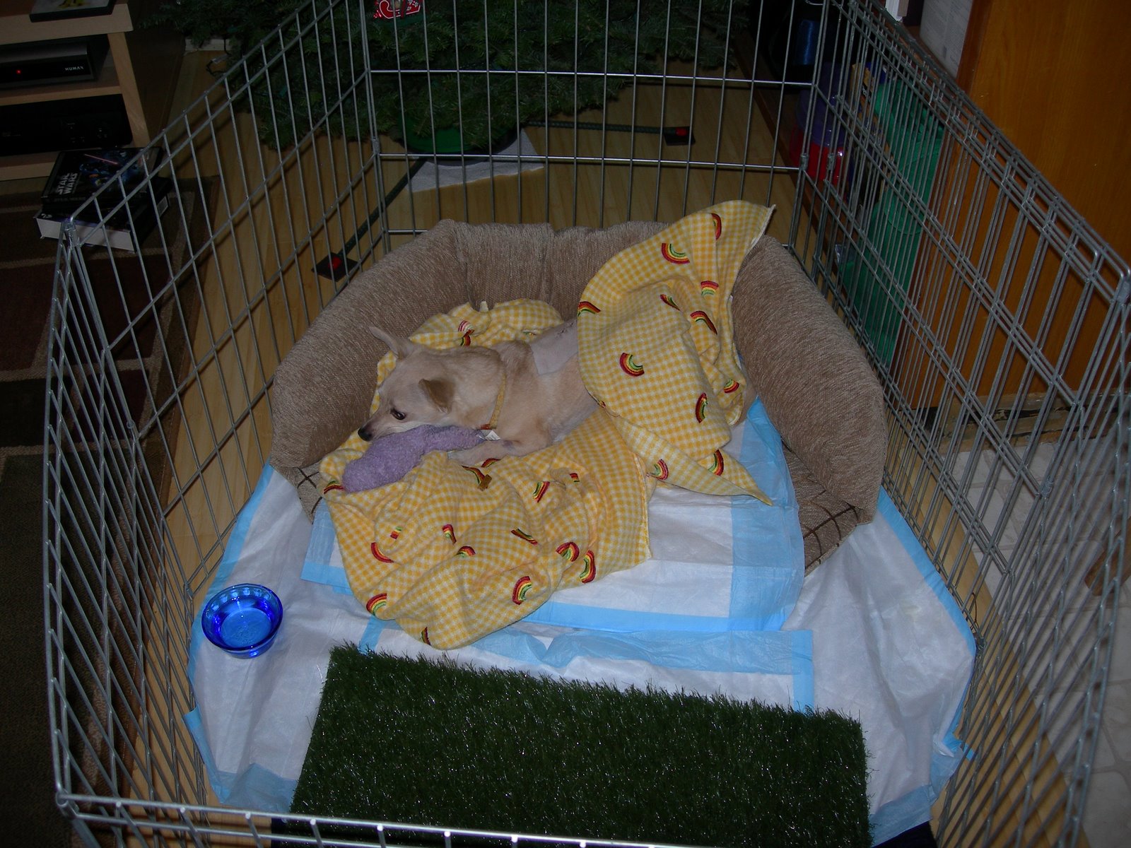 [DSCN3067.JPG]