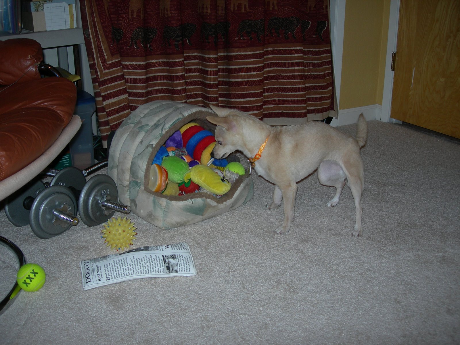 [DSCN3186.JPG]