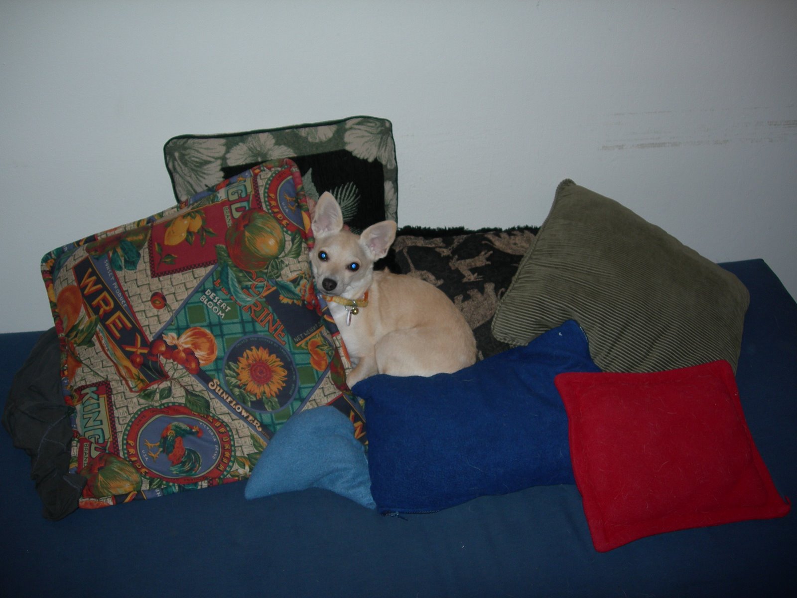 [DSCN1497.JPG]